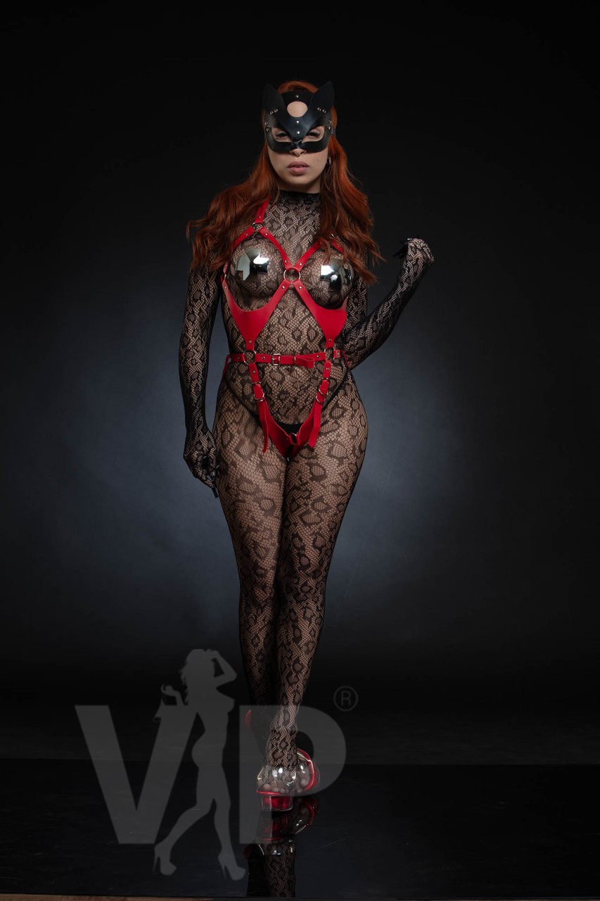 Escort Lais Fox Photo 5